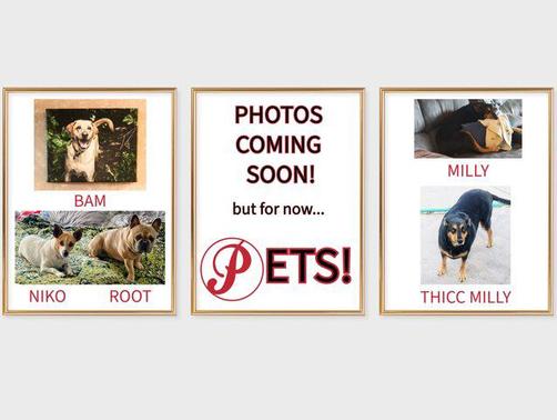 2019 RAM ProMaster 1500 Base