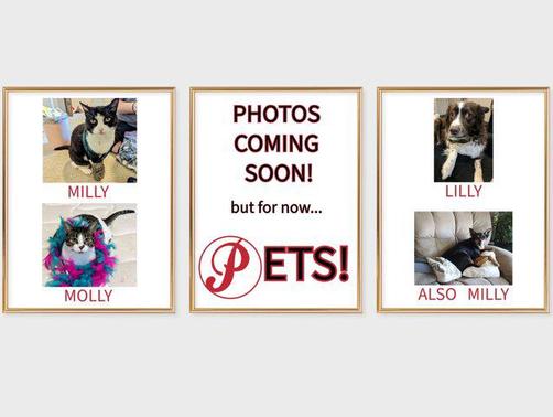 2019 RAM ProMaster 1500 Base