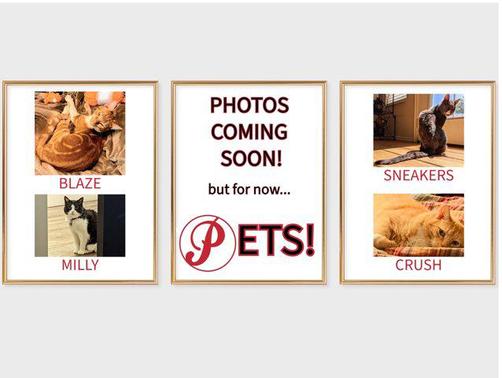 2019 RAM ProMaster 1500 Base