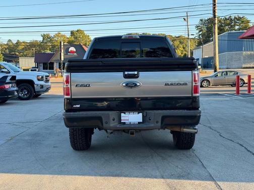 2013 Ford F-150 Platinum