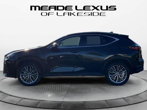 2025 Lexus NX 350h Premium