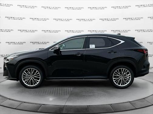 2025 Lexus NX 350h Luxury