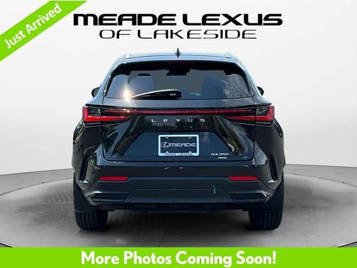 Caviar 2024 Lexus NX 350 Premium