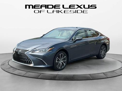 Cloudburst Gray 2024 Lexus ES 250 Base