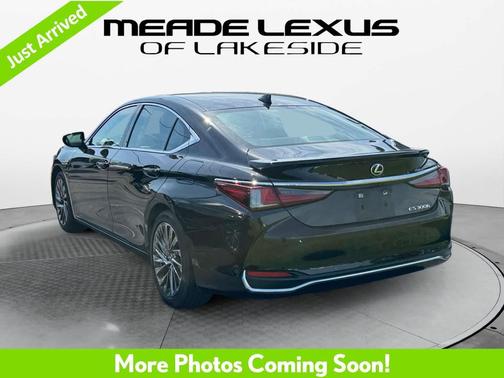 Obsidian 2025 Lexus ES 300h Luxury