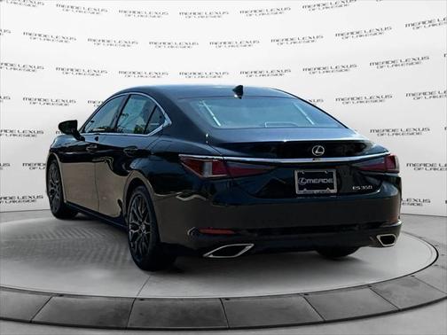 2019 Lexus ES 350 Luxury