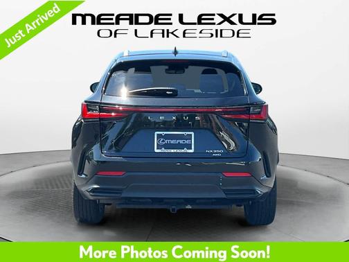 Caviar 2024 Lexus NX 350 Luxury