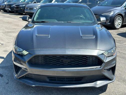2019 Ford Mustang EcoBoost