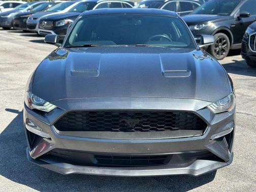 2019 Ford Mustang EcoBoost