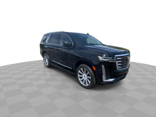 Black Raven 2023 Cadillac Escalade 4WD 4dr Premium Luxury Platinum