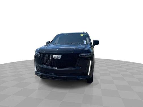 Black Raven 2023 Cadillac Escalade 4WD 4dr Sport Platinum