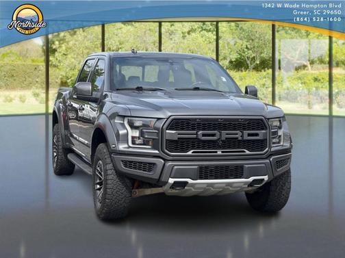 Magnetic 2019 Ford F-150 Raptor