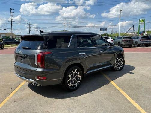 Rainforest 2022 Hyundai PALISADE Calligraphy