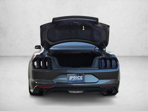 Magnetic Metallic 2020 Ford Mustang EcoBoost Premium