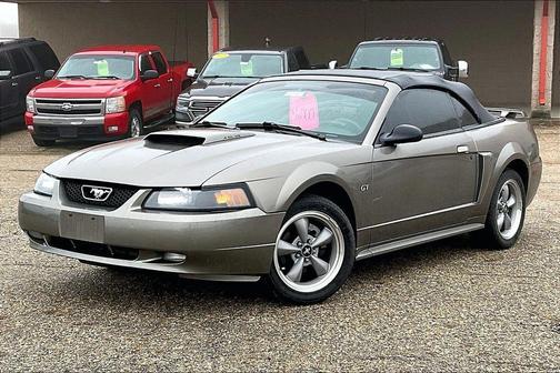 Gray 2002 Ford Mustang GT