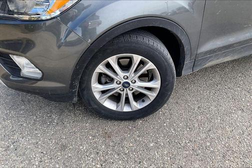 Magnetic 2019 Ford Escape SE