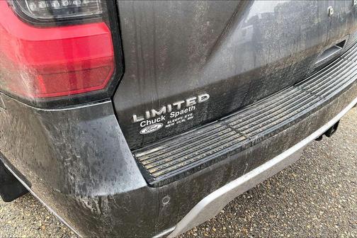 Magnetic 2020 Ford Expedition Max Limited