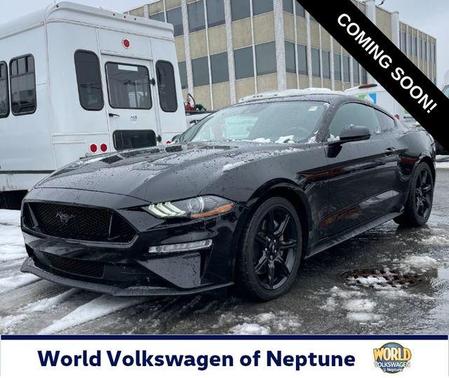 2019 Ford Mustang GT Premium