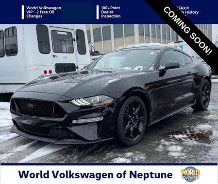 2019 Ford Mustang GT Premium