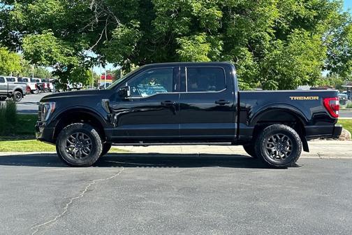 Agate Black Metallic 2023 Ford F-150 Tremor