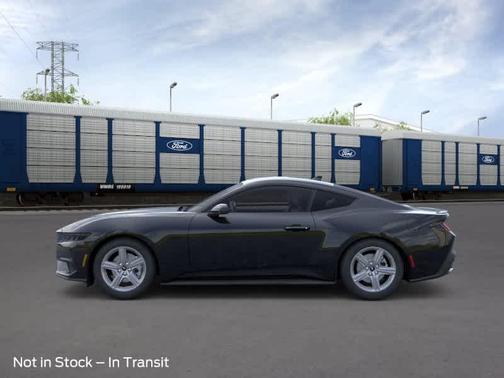 Shadow Black 2026 Ford Mustang EcoBoost