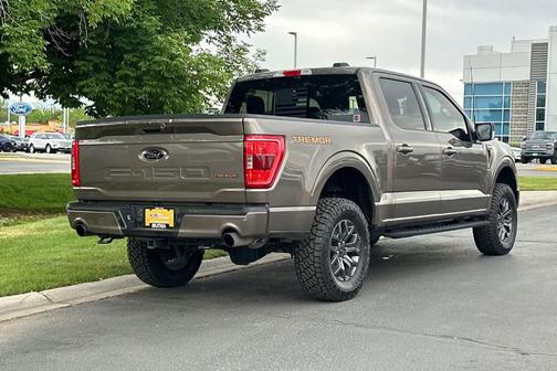 Stone Gray Metallic 2022 Ford F-150 Tremor