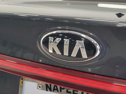 Gravity Grey 2019 Kia Forte LXS