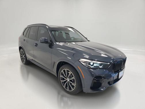 Arctic Grey Metallic 2022 BMW X5 xDrive40i