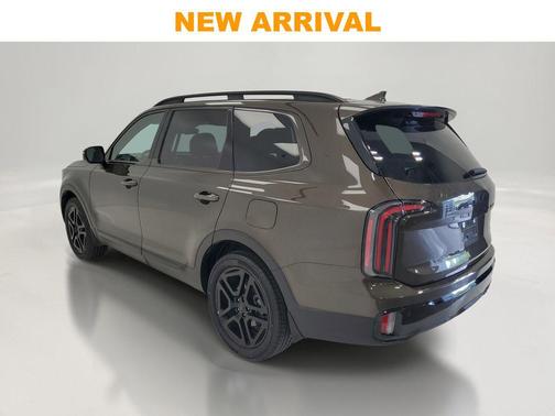 Dark Moss 2025 Kia Telluride SX Prestige X-Line