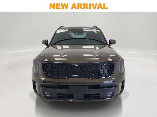 Dark Moss 2025 Kia Telluride SX Prestige X-Line