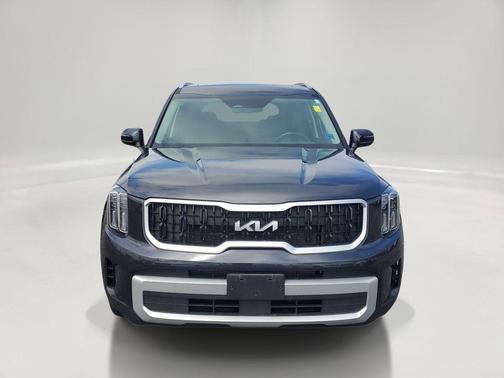 Panthera Metal 2025 Kia Telluride EX