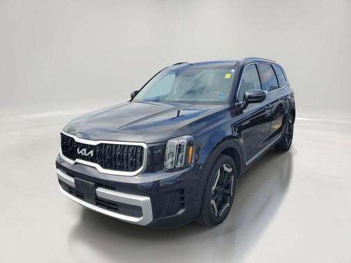 Panthera Metal 2025 Kia Telluride EX