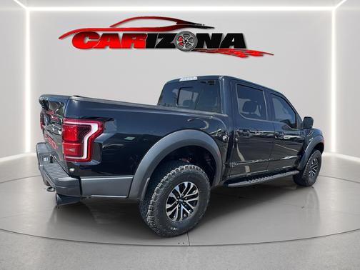 Black Metallic 2019 Ford F-150 Raptor