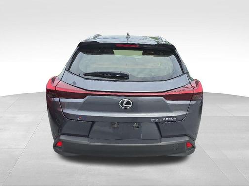 Cloudburst Gray 2023 Lexus UX 250h Base
