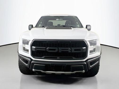 Oxford White 2019 Ford F-150 Raptor
