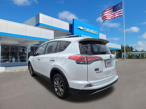 Blizzard Pearl 2018 Toyota RAV4 Limited