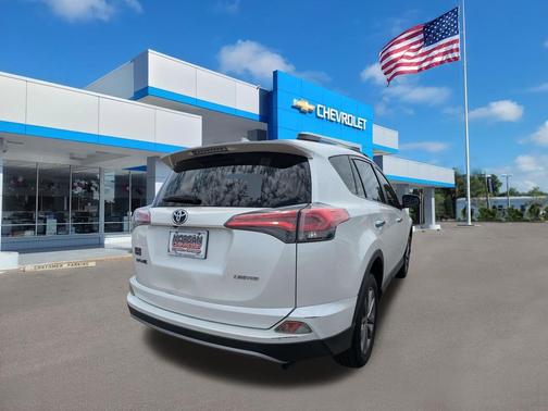 Blizzard Pearl 2018 Toyota RAV4 Limited