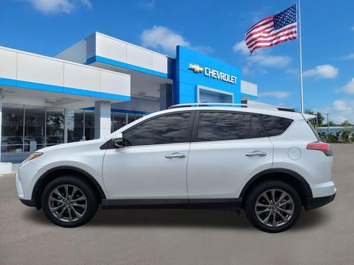 Blizzard Pearl 2018 Toyota RAV4 Limited