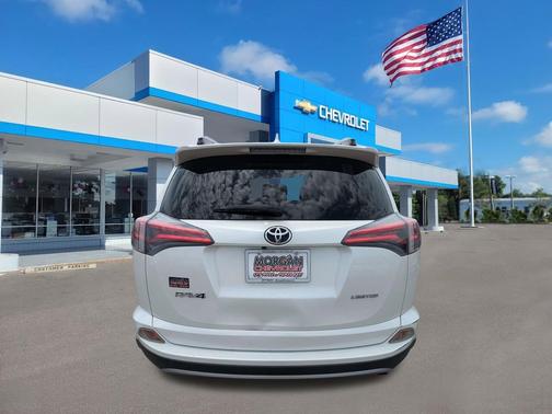 Blizzard Pearl 2018 Toyota RAV4 Limited