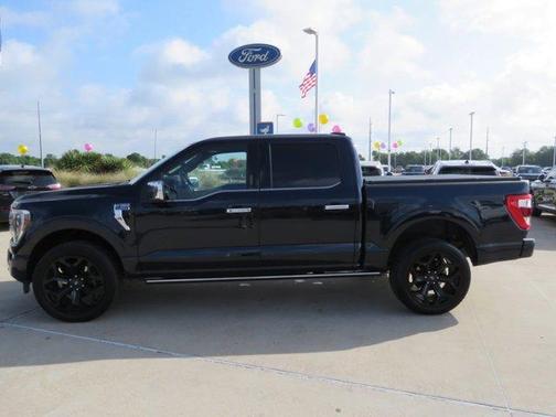 Blue 2023 Ford F-150 Platinum