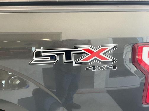 Magnetic Metallic 2019 Ford F-150 XL