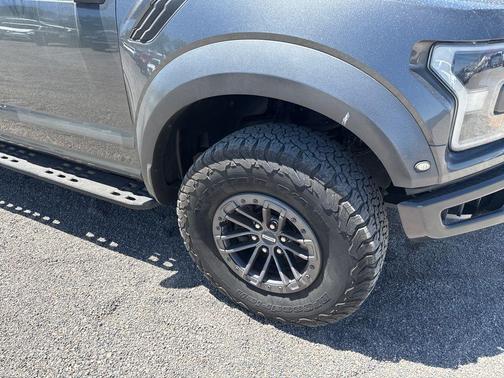 Magnetic Metallic 2019 Ford F-150 Raptor