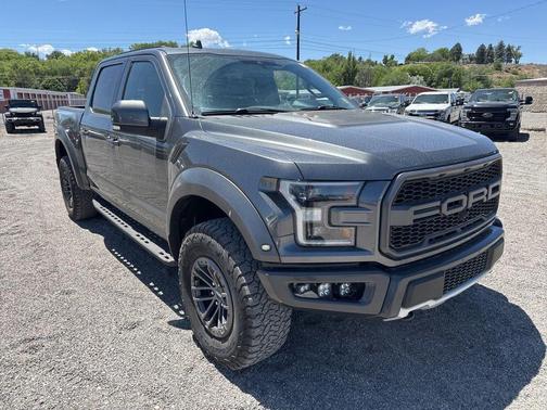 Magnetic Metallic 2019 Ford F-150 Raptor