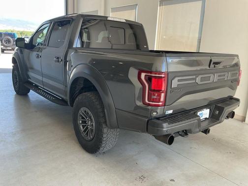 Magnetic Metallic 2019 Ford F-150 Raptor