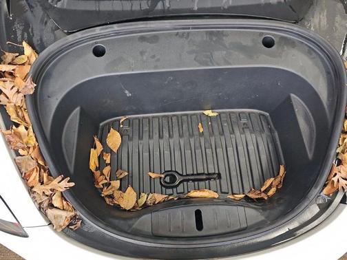 Pearl White Multi-Coat 2020 Tesla Model 3 Long Range