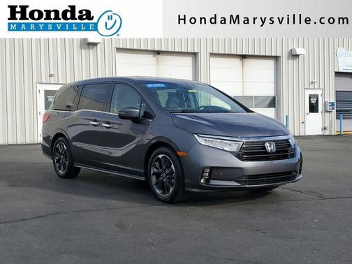 2024 Honda Odyssey Elite