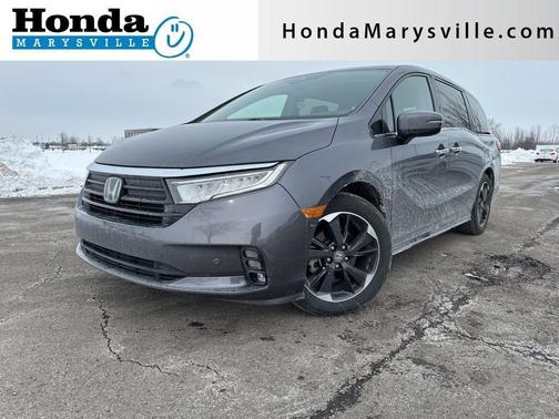 2024 Honda Odyssey Elite