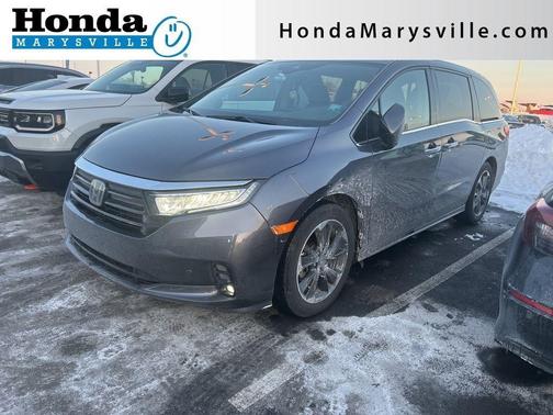 2024 Honda Odyssey Elite