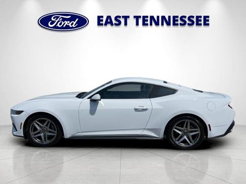 Oxford White 2025 Ford Mustang EcoBoost Premium
