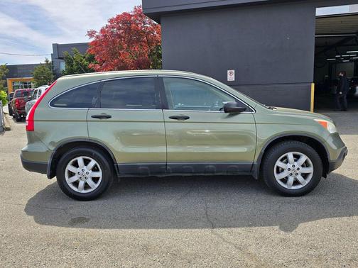 Green Tea Metallic 2009 Honda CR-V EX